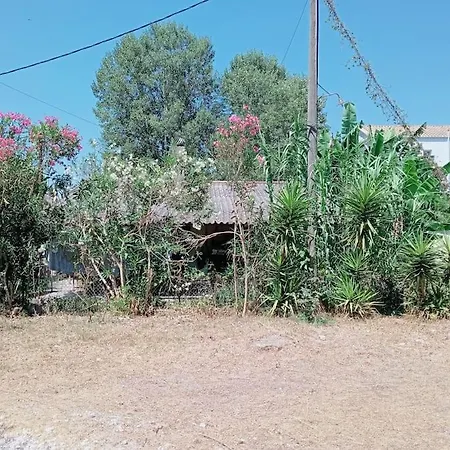 Διαμέρισμα Spiros House Λυγιά